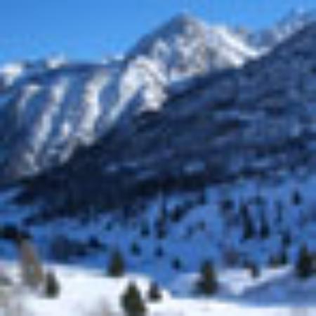 Restoran Village Pot